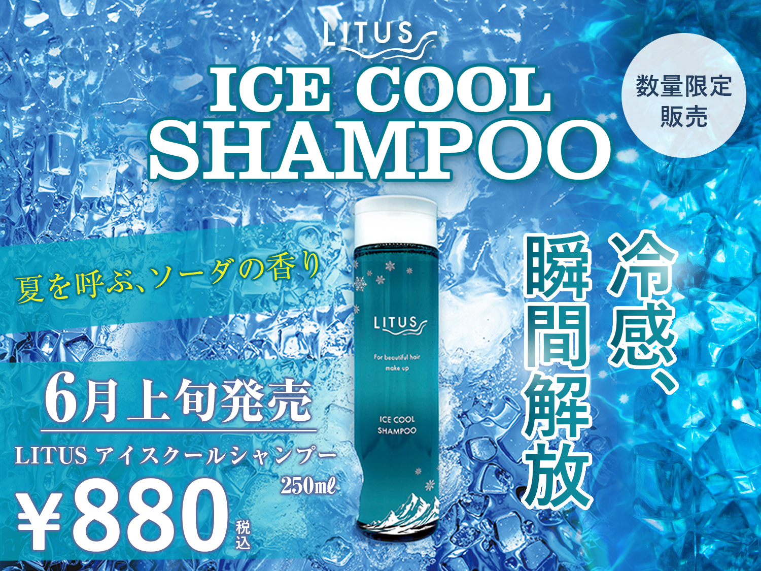 【6月上旬より順次販売開始】 LITUS アイスクールシャンプー