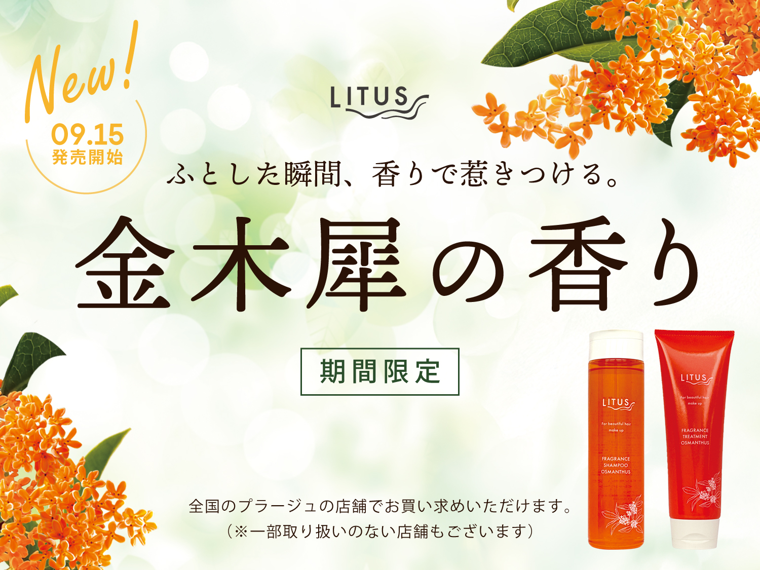 【9月15日発売開始】 LITUS フレグランスシリーズ オスマンサス